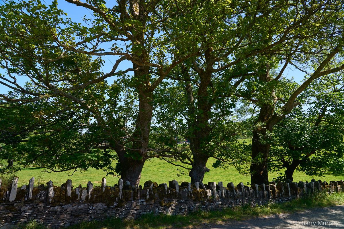 Victorian House For Sale: Ardeevin House, Beach, Bantry, Co. Cork Victorian House For Sale: Ardeevin House, Beach, Bantry, Co. Cork