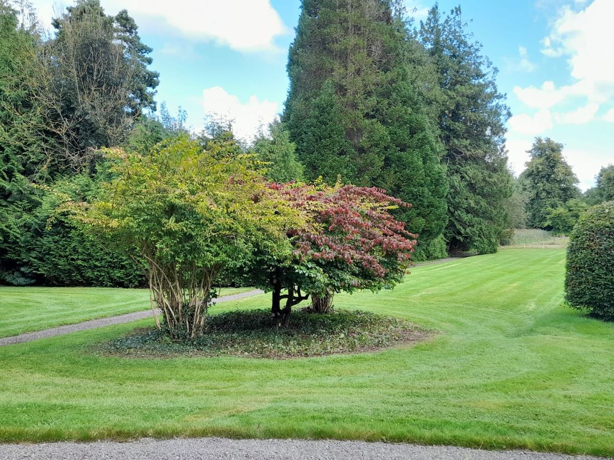 Period Property For Sale: Assolas House, Assolas, Castlemagner, Co. Cork Period Property For Sale: Assolas House, Assolas, Castlemagner, Co. Cork