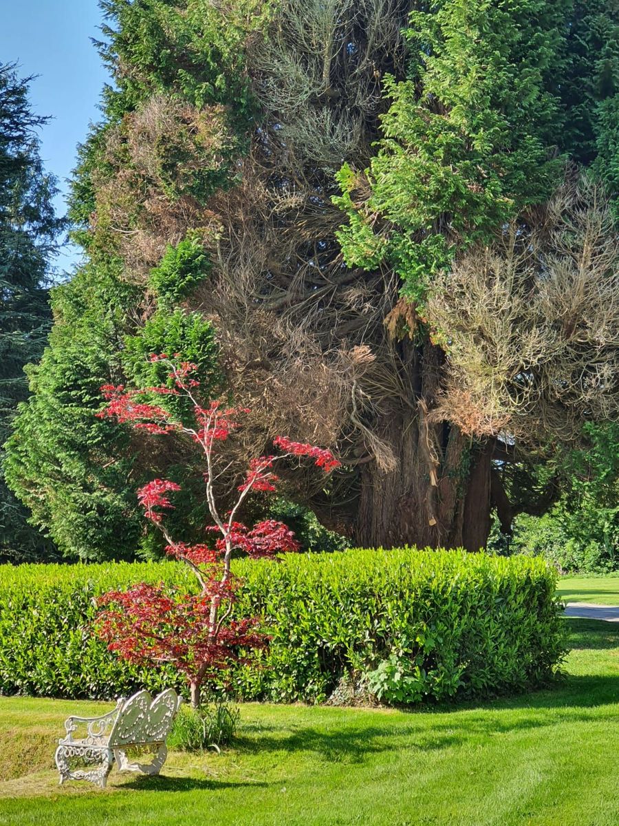 Period Property For Sale: Assolas House, Assolas, Castlemagner, Co. Cork Period Property For Sale: Assolas House, Assolas, Castlemagner, Co. Cork