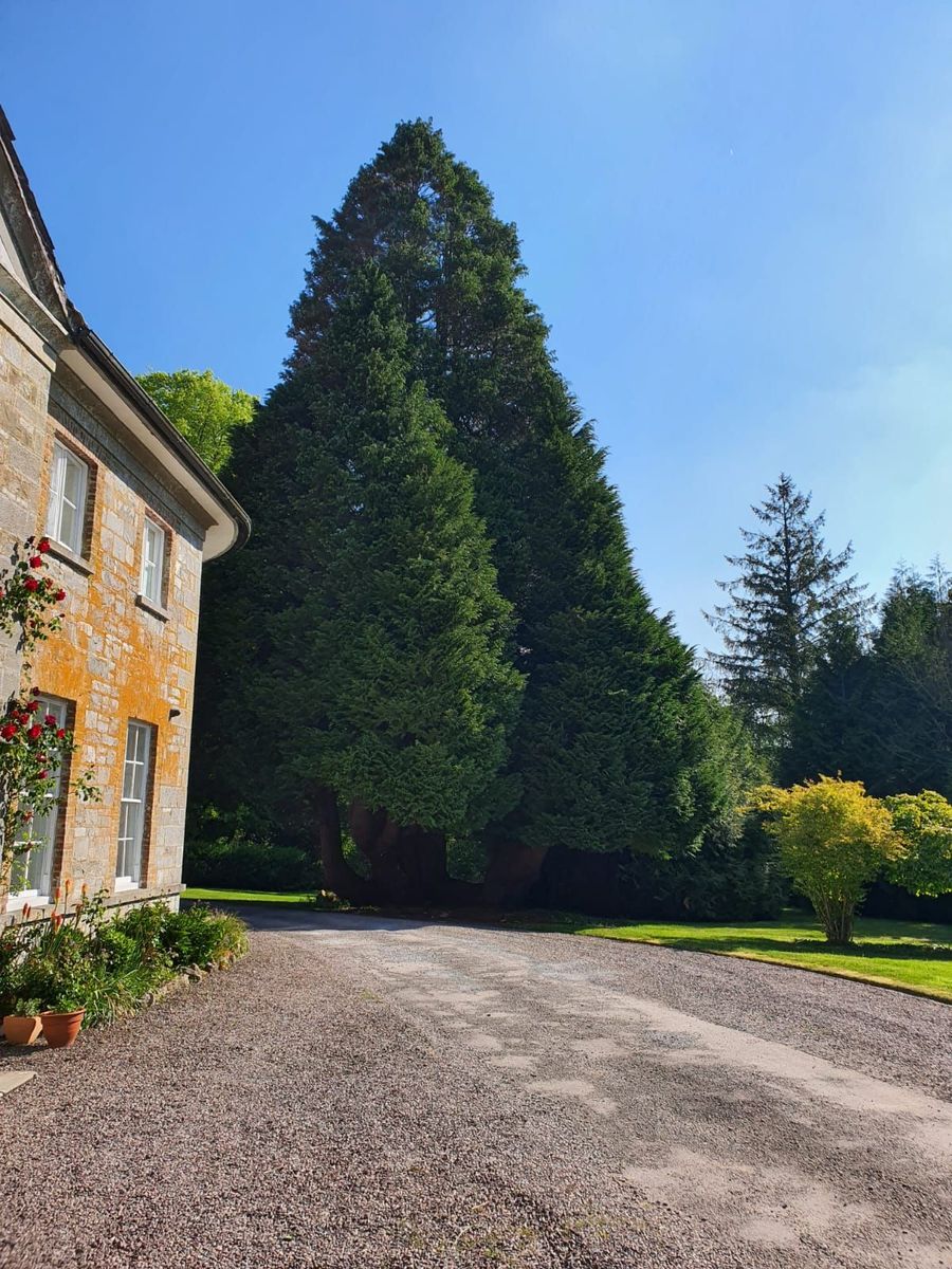 Period Property For Sale: Assolas House, Assolas, Castlemagner, Co. Cork Period Property For Sale: Assolas House, Assolas, Castlemagner, Co. Cork