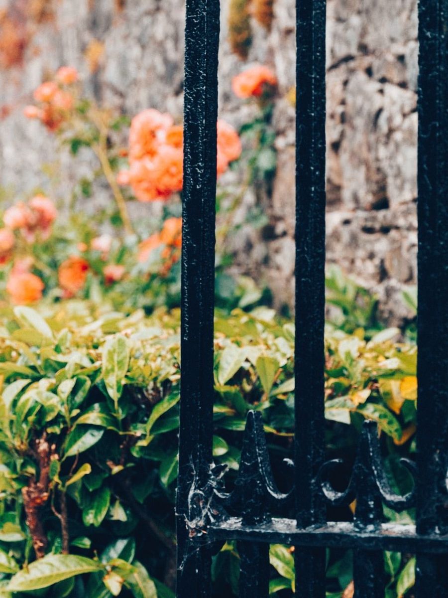 Period Property For Sale: Assolas House, Assolas, Castlemagner, Co. Cork Period Property For Sale: Assolas House, Assolas, Castlemagner, Co. Cork