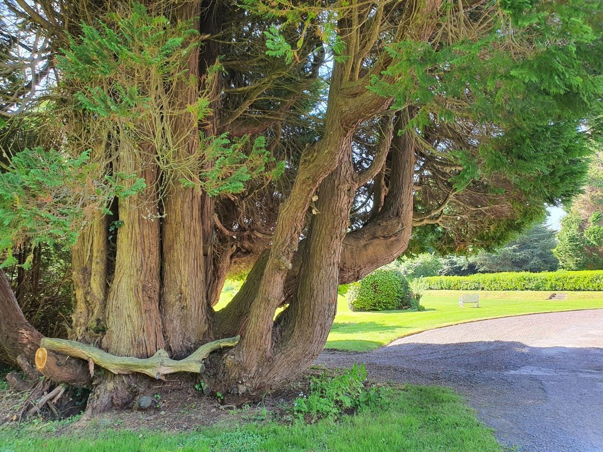 Period Property For Sale: Assolas House, Assolas, Castlemagner, Co. Cork Period Property For Sale: Assolas House, Assolas, Castlemagner, Co. Cork