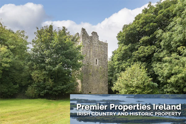 Historic Castle For Sale: Ballintotis Castle, Ballintotis, Castlemartyr, Co. Cork
