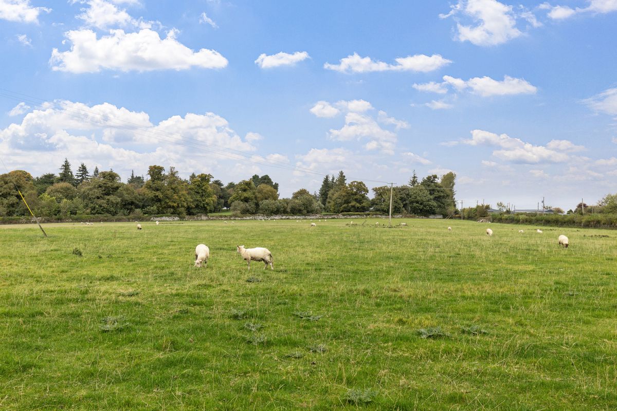 Traditional Farmstead For Sale: Ballynagrane, Borris, Co. Carlow Traditional Farmstead For Sale: Ballynagrane, Borris, Co. Carlow