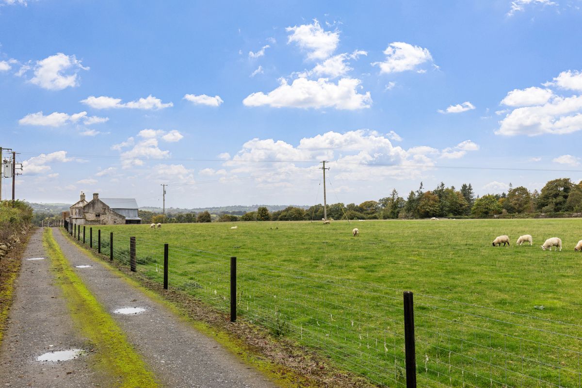 Traditional Farmstead For Sale: Ballynagrane, Borris, Co. Carlow Traditional Farmstead For Sale: Ballynagrane, Borris, Co. Carlow