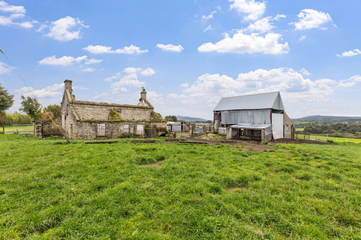 Traditional Farmstead For Sale: Ballynagrane, Borris, Co. Carlow Traditional Farmstead For Sale: Ballynagrane, Borris, Co. Carlow