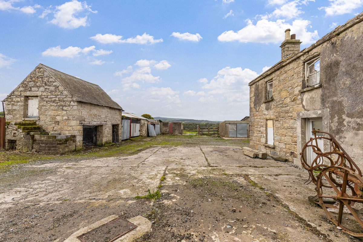 Traditional Farmstead For Sale: Ballynagrane, Borris, Co. Carlow Traditional Farmstead For Sale: Ballynagrane, Borris, Co. Carlow
