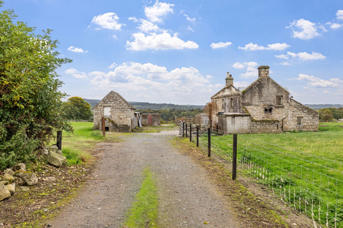 Traditional Farmstead For Sale: Ballynagrane, Borris, Co. Carlow Traditional Farmstead For Sale: Ballynagrane, Borris, Co. Carlow