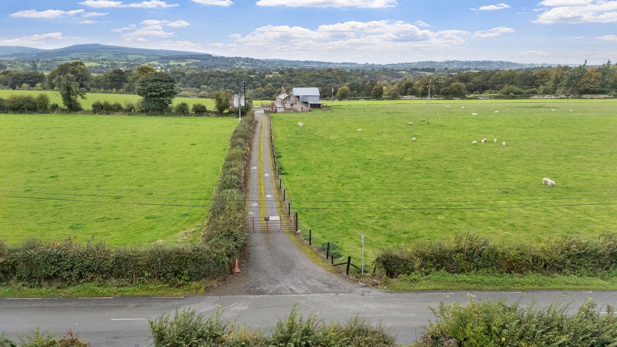 Traditional Farmstead For Sale: Ballynagrane, Borris, Co. Carlow Traditional Farmstead For Sale: Ballynagrane, Borris, Co. Carlow
