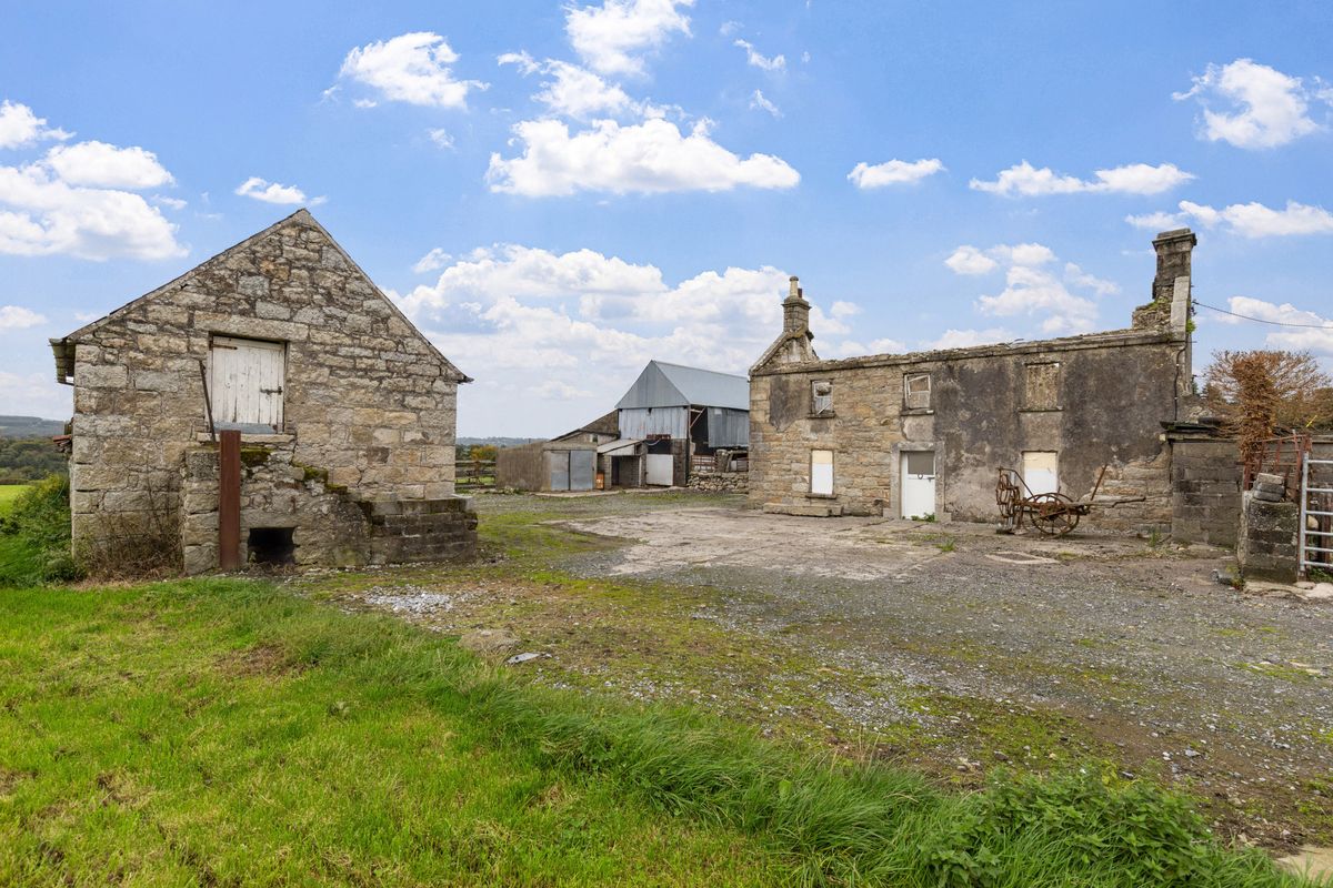 Traditional Farmstead For Sale: Ballynagrane, Borris, Co. Carlow