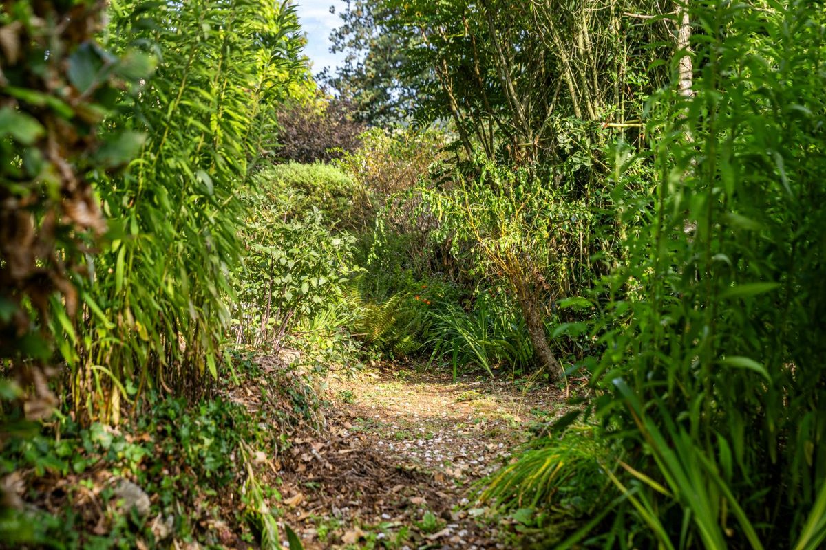 Period Property For Sale: Ballynona Lodge, Midleton, Co. Cork Period Property For Sale: Ballynona Lodge, Midleton, Co. Cork