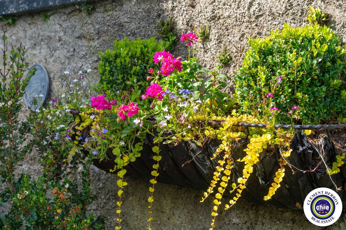 Georgian Residence For Sale: Cappakeel House, Cappakeel, Emo, Co. Laois Georgian Residence For Sale: Cappakeel House, Cappakeel, Emo, Co. Laois