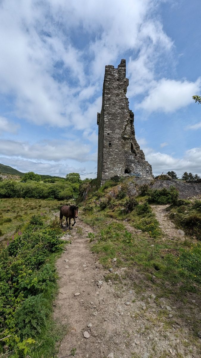Castle for Sale: Castle Donovan, Drimoleague, Co. Cork Castle for Sale: Castle Donovan, Drimoleague, Co. Cork