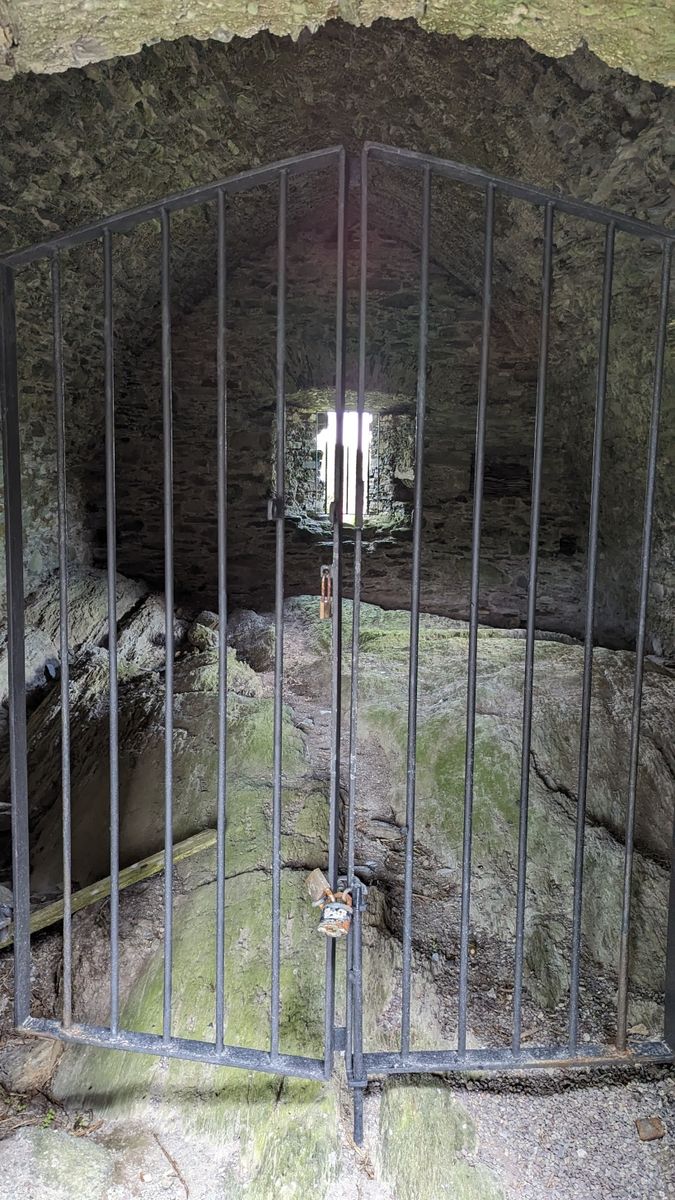 Castle for Sale: Castle Donovan, Drimoleague, Co. Cork Castle for Sale: Castle Donovan, Drimoleague, Co. Cork