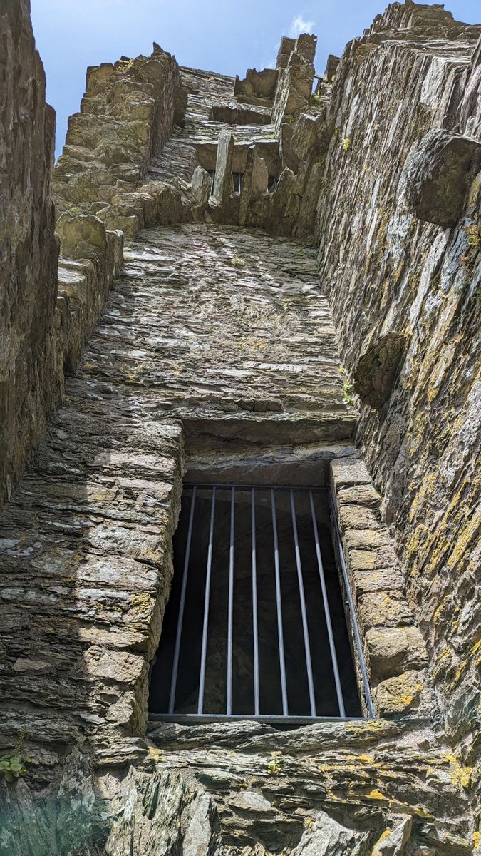 Castle for Sale: Castle Donovan, Drimoleague, Co. Cork Castle for Sale: Castle Donovan, Drimoleague, Co. Cork