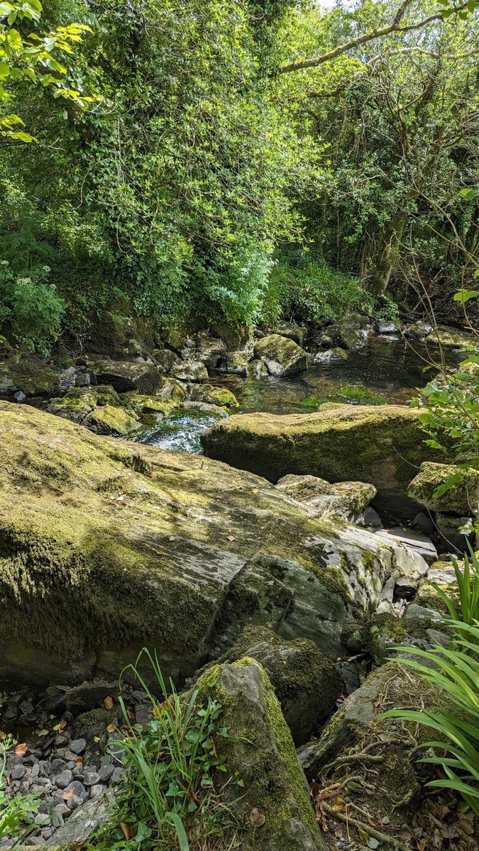 Castle for Sale: Castle Donovan, Drimoleague, Co. Cork Castle for Sale: Castle Donovan, Drimoleague, Co. Cork