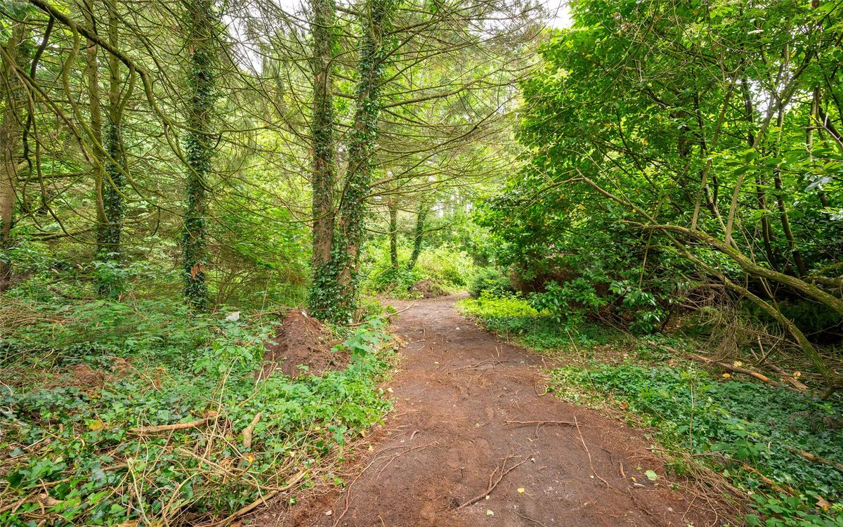 Period Property For Sale: Cuil Aluinn, Gurteenroe, Macroom, Co. Cork Period Property For Sale: Cuil Aluinn, Gurteenroe, Macroom, Co. Cork