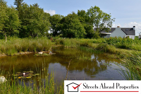 Traditional Farmhouse For Sale: Dangananella East, Cooraclare, Co. Clare