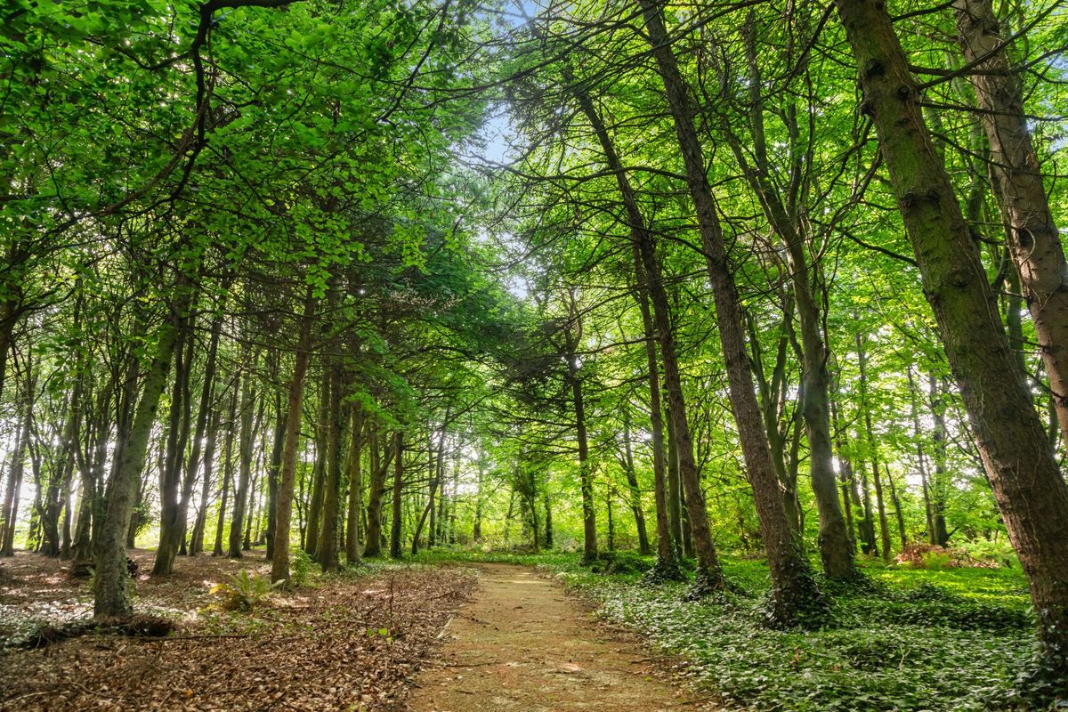 Magnificent Period House For Sale: Emsworth, Malahide Road, Kinsealy, Co. Dublin Magnificent Period House For Sale: Emsworth, Malahide Road, Kinsealy, Co. Dublin