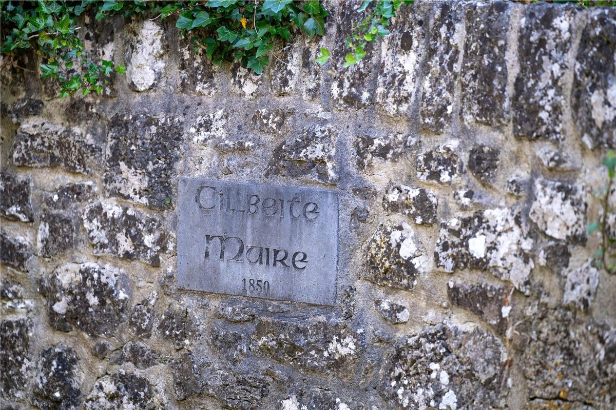 19th Century Residence For Sale: Kilbehy House, Kilbeha, Askeaton, Co. Limerick 19th Century Residence For Sale: Kilbehy House, Kilbeha, Askeaton, Co. Limerick