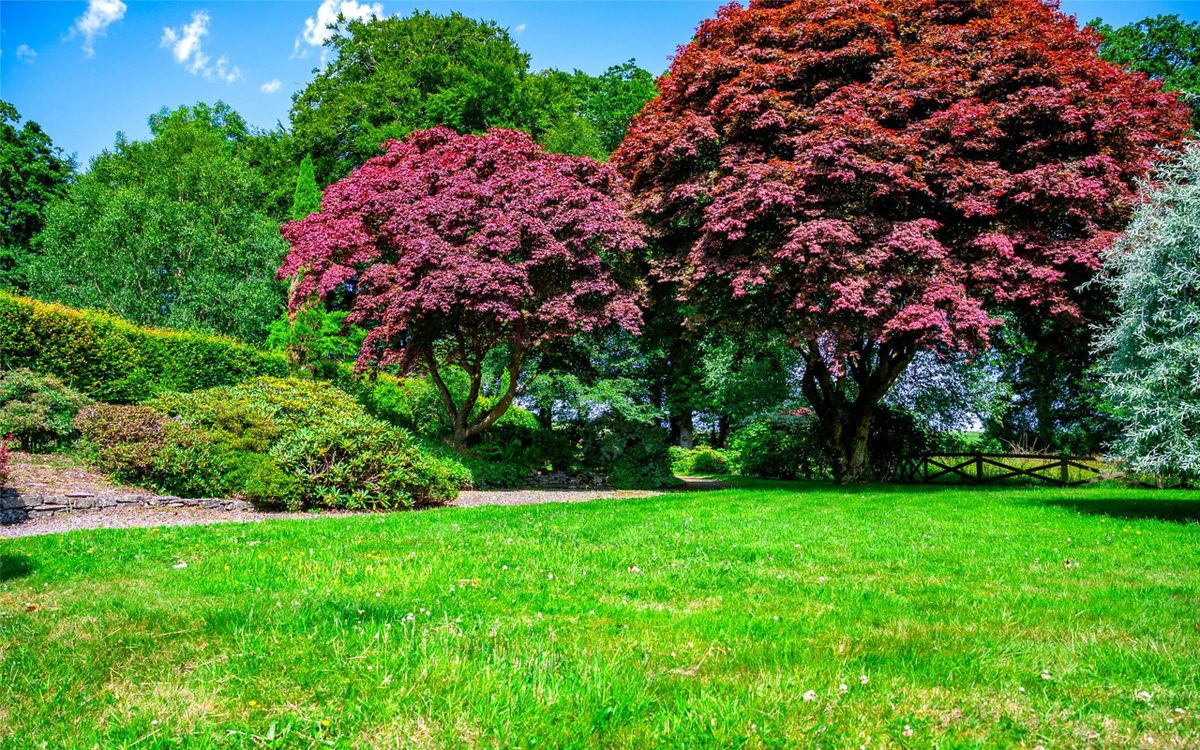 Victorian Country Home For Sale: Kilroan House, Brookhill, Glanmire, Co. Cork Victorian Country Home For Sale: Kilroan House, Brookhill, Glanmire, Co. Cork