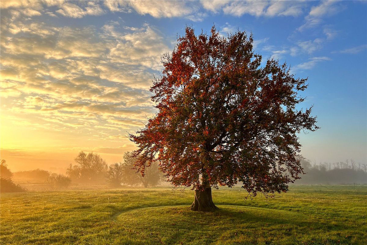 Exceptional Estate For Sale: Lairakeen House, Banagher, Co. Galway Exceptional Estate For Sale: Lairakeen House, Banagher, Co. Galway