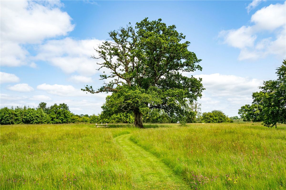 Exceptional Estate For Sale: Lairakeen House, Banagher, Co. Galway Exceptional Estate For Sale: Lairakeen House, Banagher, Co. Galway