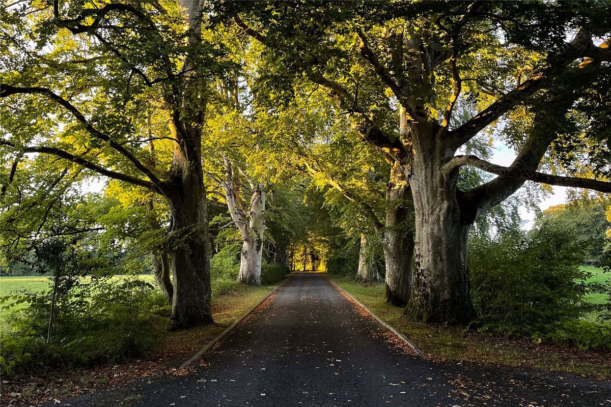 Exceptional Estate For Sale: Lairakeen House, Banagher, Co. Galway Exceptional Estate For Sale: Lairakeen House, Banagher, Co. Galway