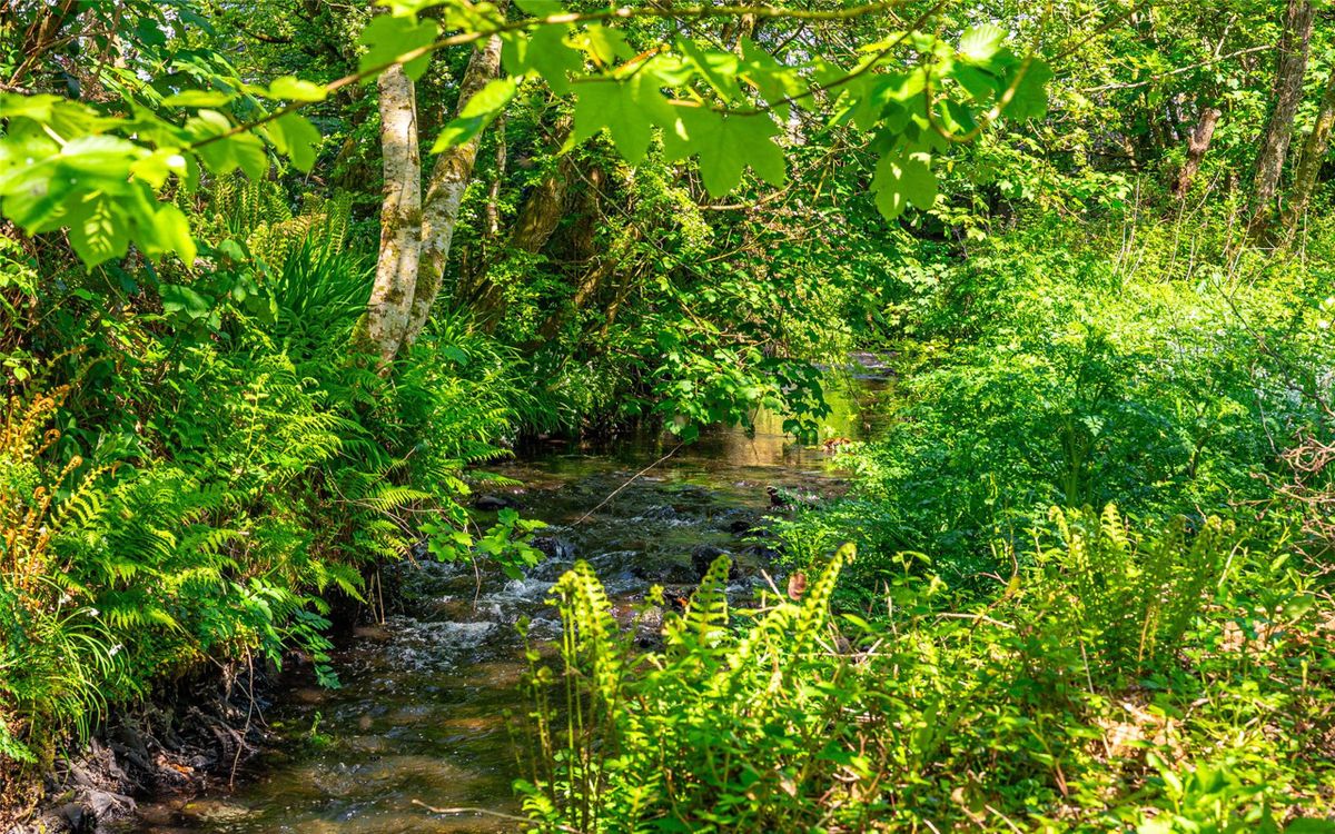 Georgian Country Home For Sale: Lawn House, West End, Drimoleague, Co. Cork Georgian Country Home For Sale: Lawn House, West End, Drimoleague, Co. Cork