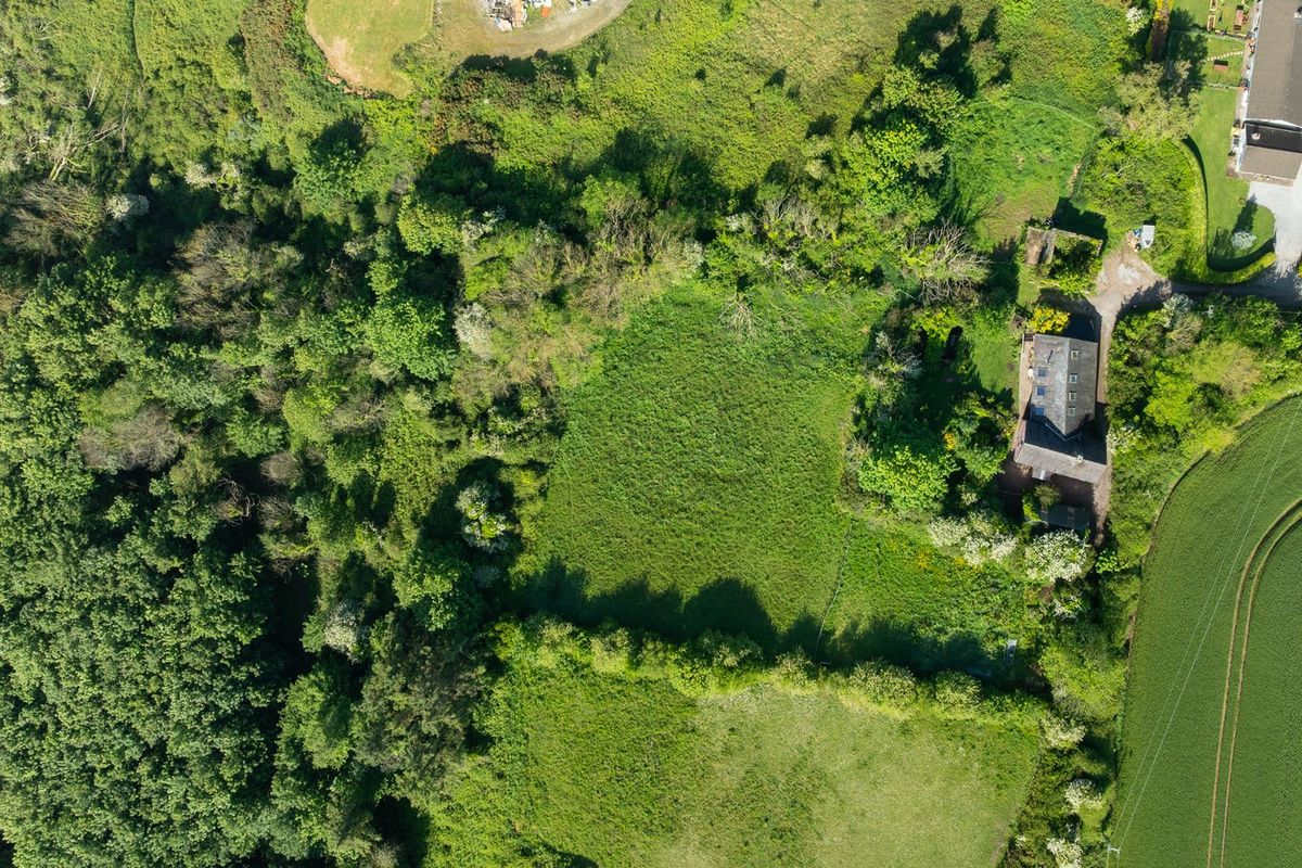 Extended Cottage For Sale: Marlogue Cottage, Walterstown, Cobh, Co. Cork Extended Cottage For Sale: Marlogue Cottage, Walterstown, Cobh, Co. Cork