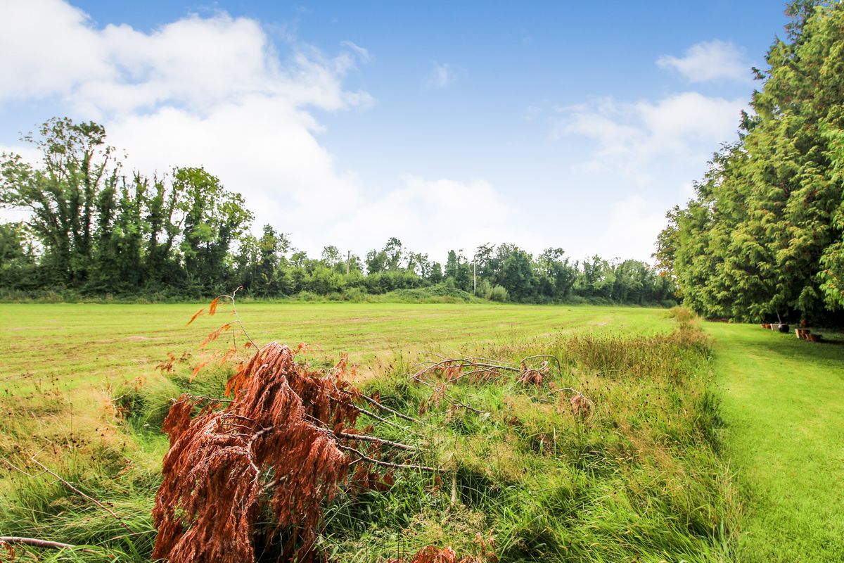 Period Residence For Sale: Mount Ashley, Glebe, Roosky, Co. Roscommon Period Residence For Sale: Mount Ashley, Glebe, Roosky, Co. Roscommon