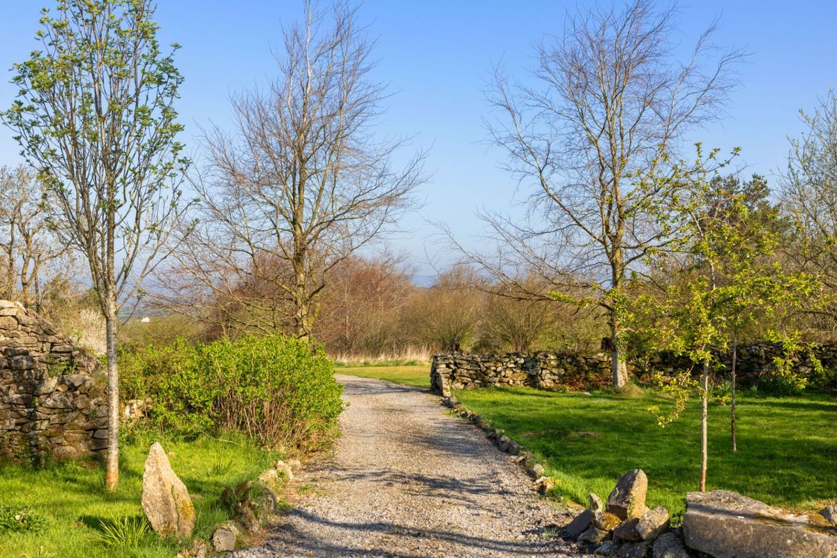 Renovated and Extended Farmhouse For Sale: Mount Coggill, Griffinstown, Borris, Co. Kilkenny Renovated and Extended Farmhouse For Sale: Mount Coggill, Griffinstown, Borris, Co. Kilkenny