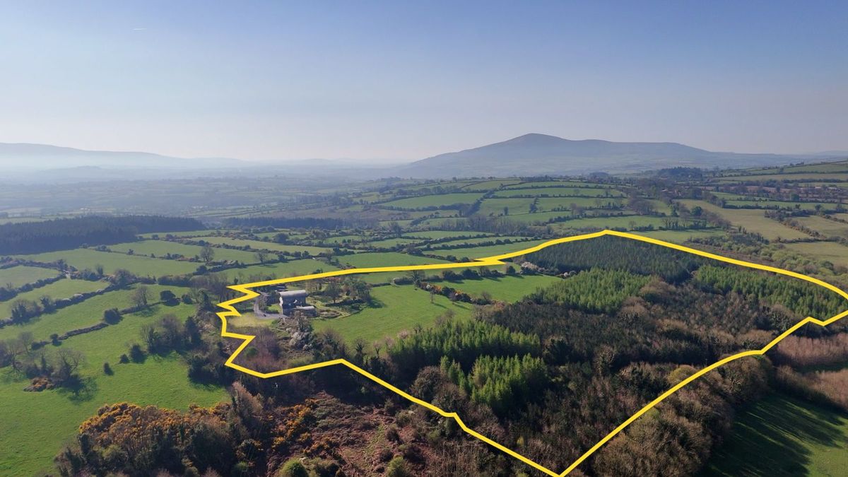 Renovated and Extended Farmhouse For Sale: Mount Coggill, Griffinstown, Borris, Co. Kilkenny Renovated and Extended Farmhouse For Sale: Mount Coggill, Griffinstown, Borris, Co. Kilkenny