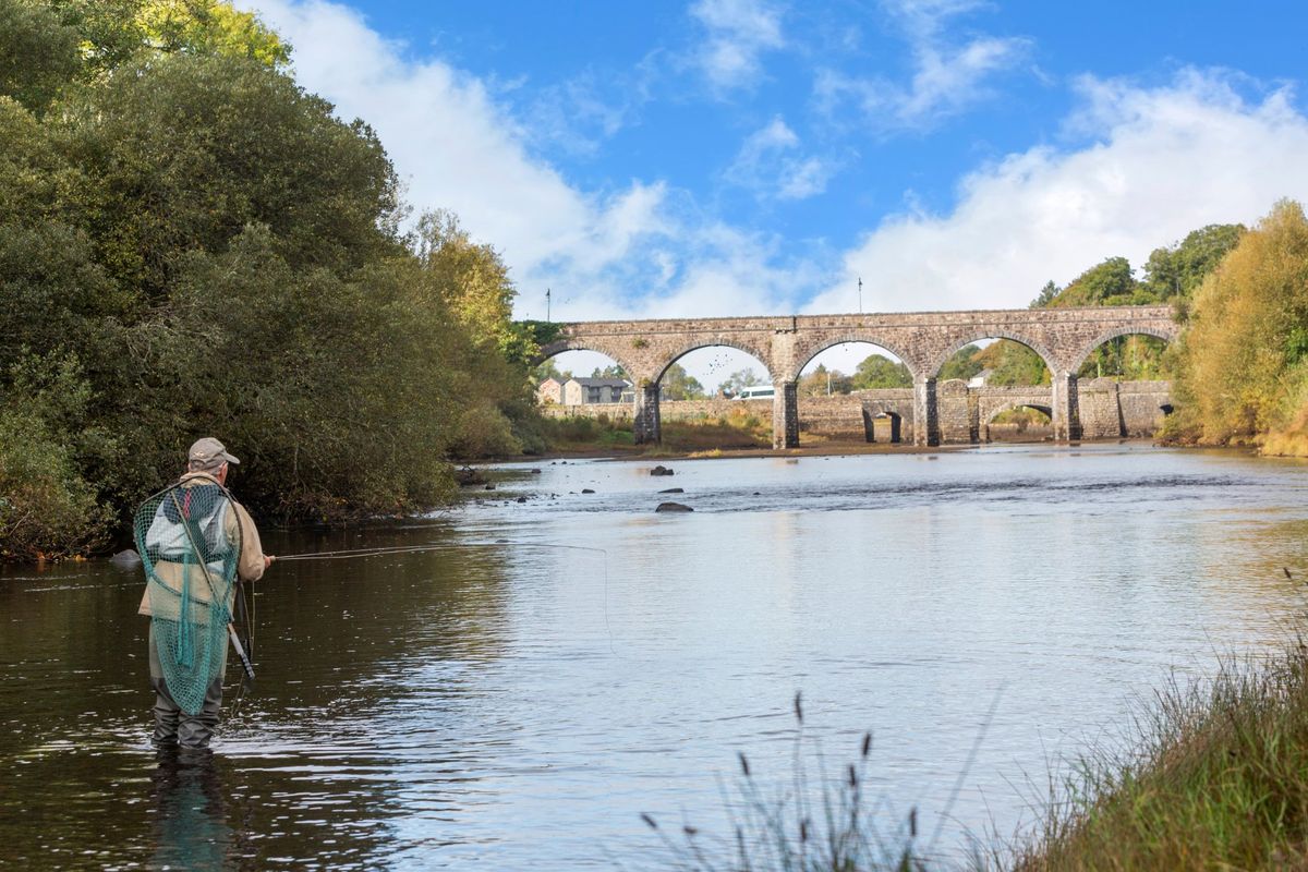 Georgian Property For Sale: Newport House, Main Street, Newport, Co. Mayo Georgian Property For Sale: Newport House, Main Street, Newport, Co. Mayo