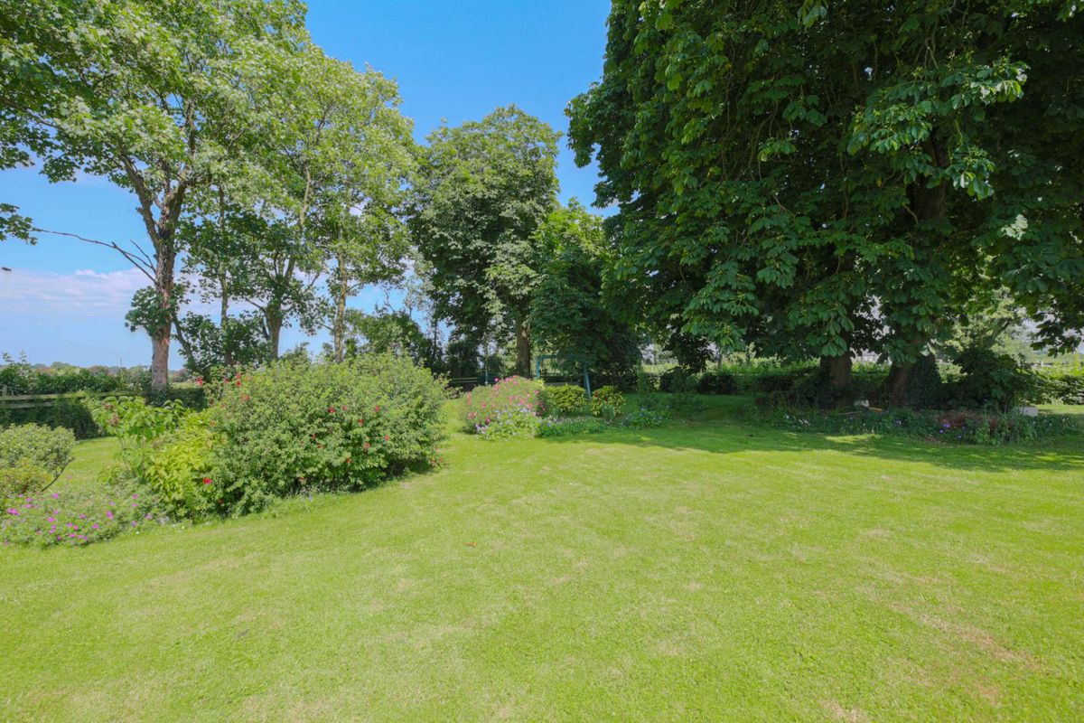 Family Home For Sale: Oldglass House, Ballacolla, Clough, Co. Laois Family Home For Sale: Oldglass House, Ballacolla, Clough, Co. Laois