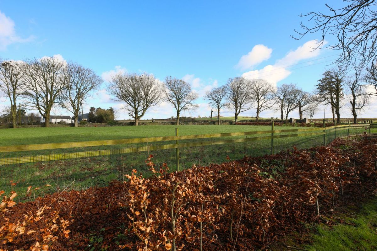 Family Home For Sale: Oldglass House, Ballacolla, Clough, Co. Laois Family Home For Sale: Oldglass House, Ballacolla, Clough, Co. Laois