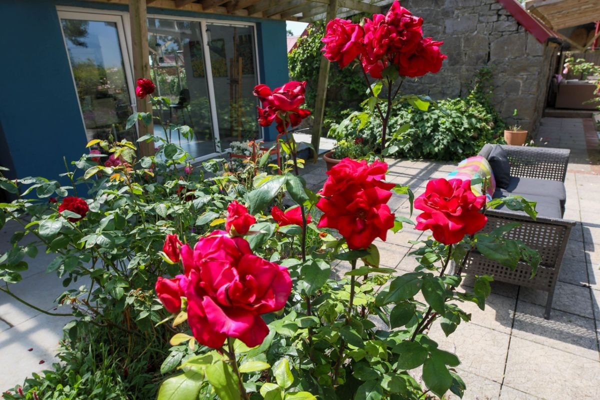 Family Home For Sale: Oldglass House, Ballacolla, Clough, Co. Laois Family Home For Sale: Oldglass House, Ballacolla, Clough, Co. Laois