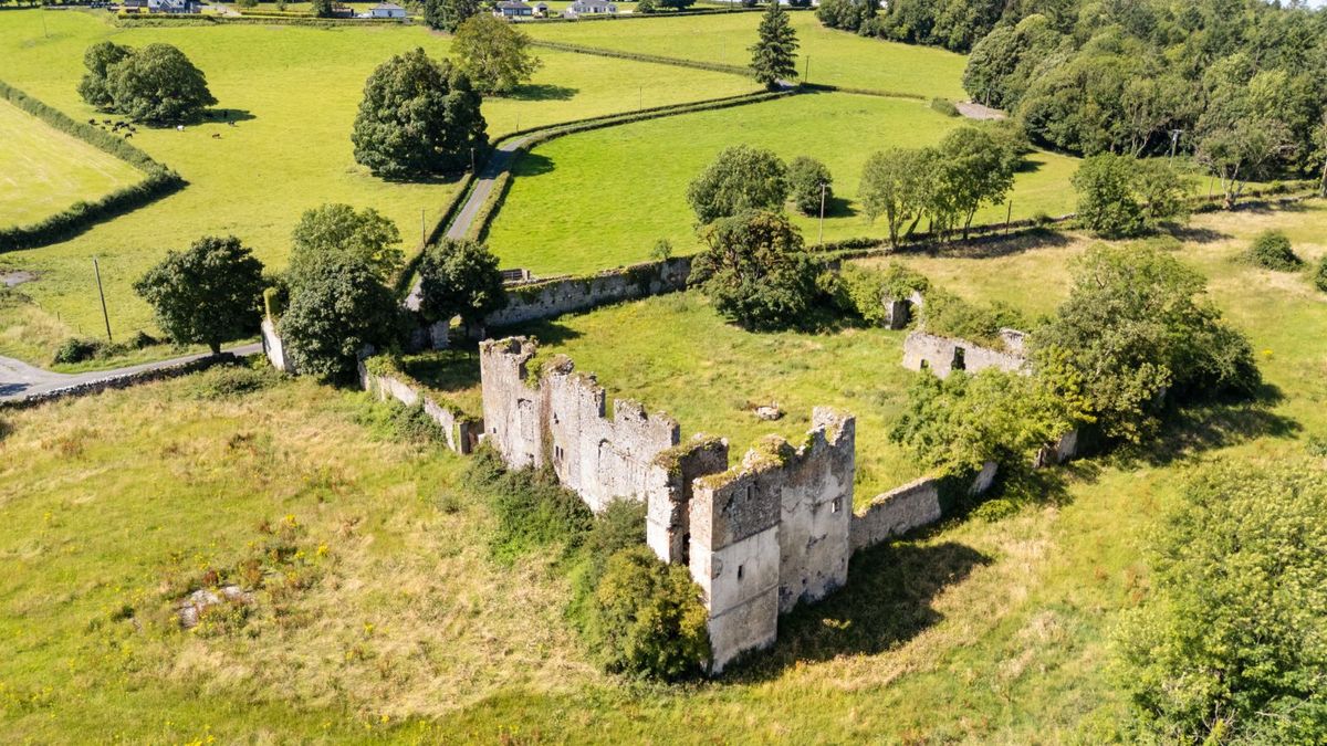 Historic Period House For Sale: Rathcline House & Farm, Rathcline, Lanesborough, Co. Longford Historic Period House For Sale: Rathcline House & Farm, Rathcline, Lanesborough, Co. Longford