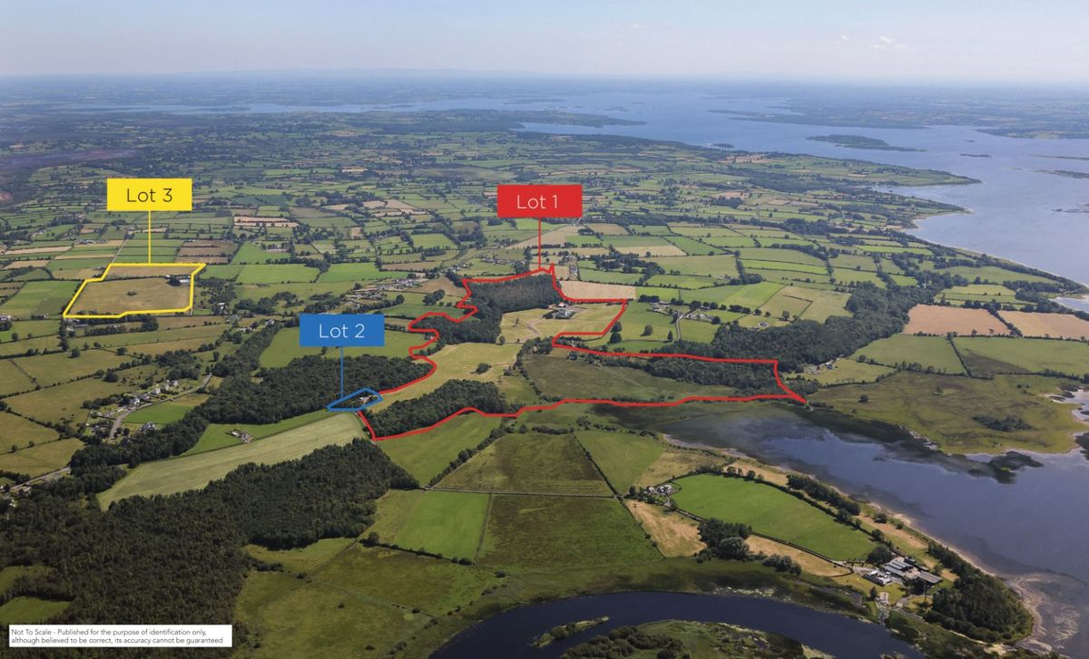 Historic Period House For Sale: Rathcline House & Farm, Rathcline, Lanesborough, Co. Longford Historic Period House For Sale: Rathcline House & Farm, Rathcline, Lanesborough, Co. Longford