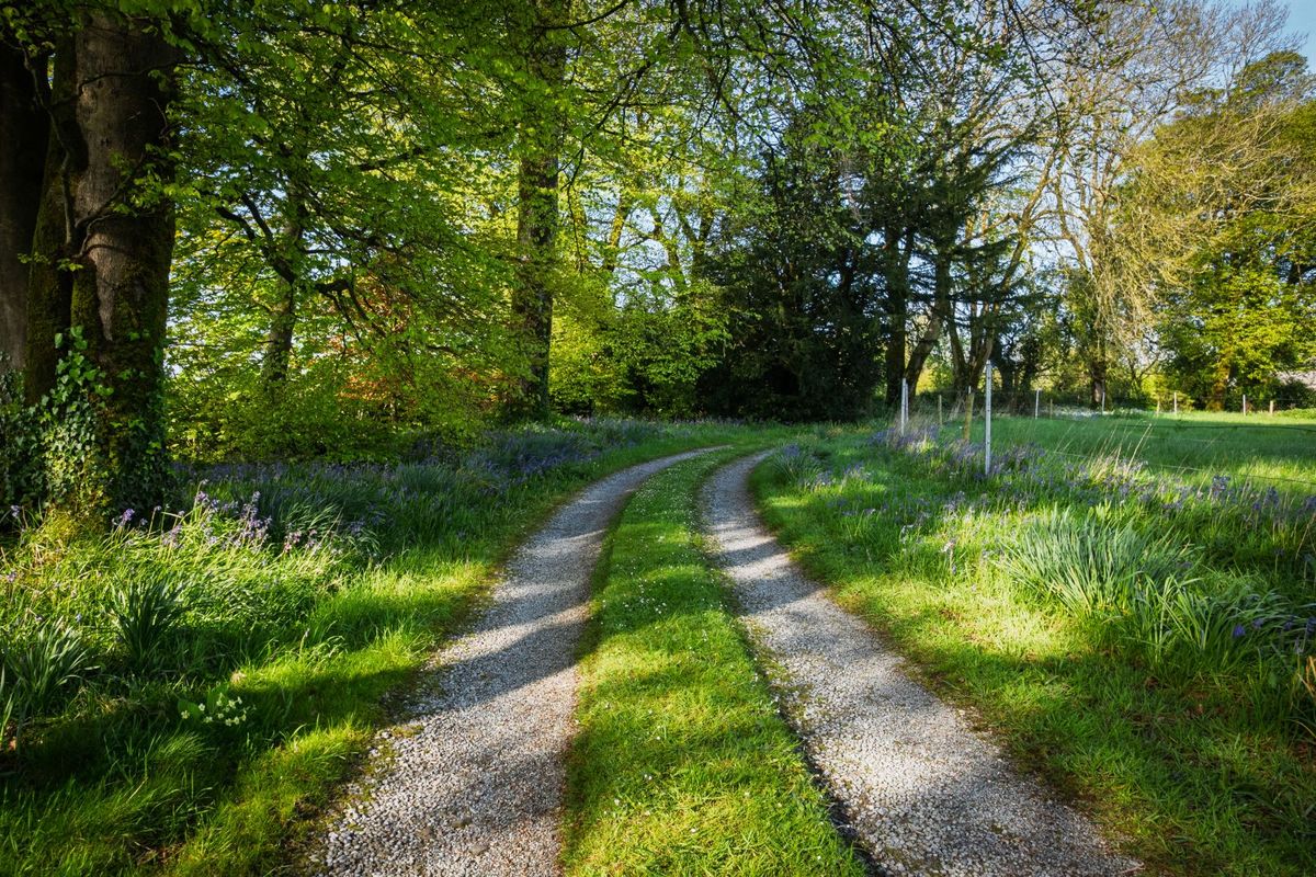 Georgian Residence For Sale: Riverview House, Mishells, Bandon, Co. Cork Georgian Residence For Sale: Riverview House, Mishells, Bandon, Co. Cork