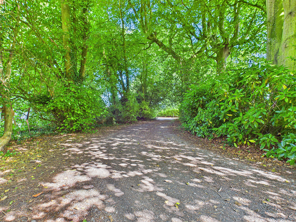 Georgian Residence For Sale: Shamrock Lodge, Mortarstown Upper, Carlow Town, Co. Carlow Georgian Residence For Sale: Shamrock Lodge, Mortarstown Upper, Carlow Town, Co. Carlow