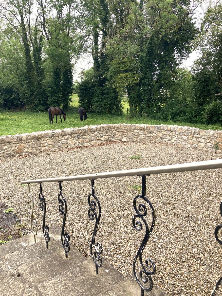 Glebe House For Sale: The Glebe, Nantenan, Askeaton, Co. Limerick Glebe House For Sale: The Glebe, Nantenan, Askeaton, Co. Limerick