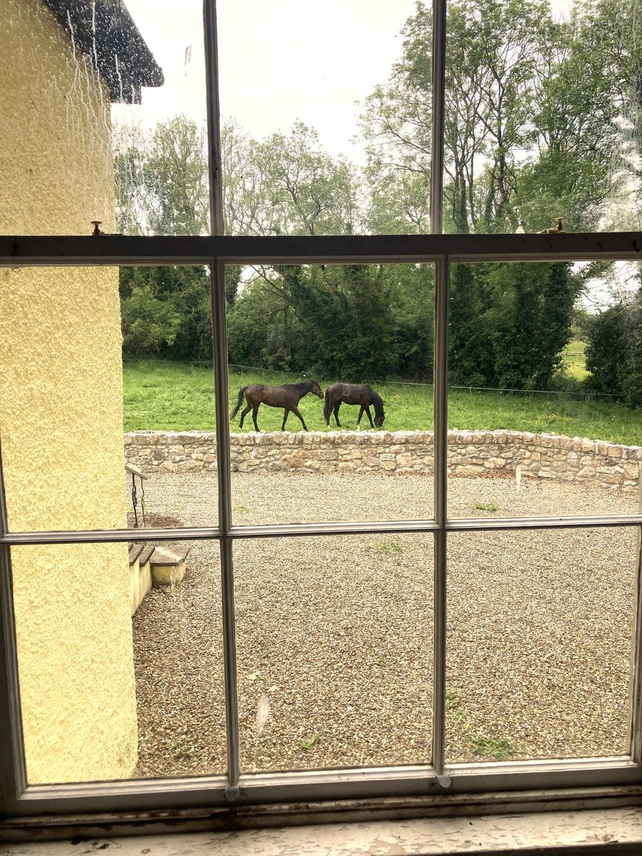 Glebe House For Sale: The Glebe, Nantenan, Askeaton, Co. Limerick Glebe House For Sale: The Glebe, Nantenan, Askeaton, Co. Limerick