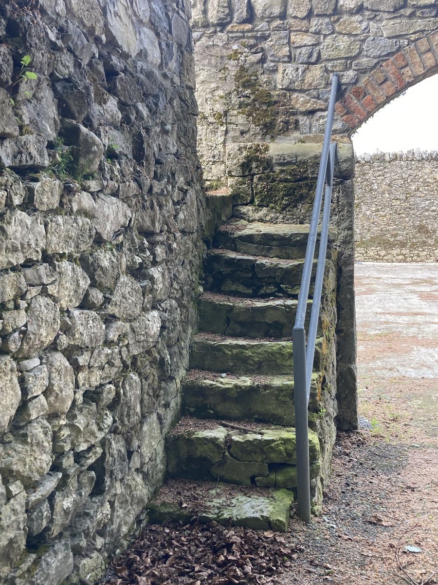 Glebe House For Sale: The Glebe, Nantenan, Askeaton, Co. Limerick Glebe House For Sale: The Glebe, Nantenan, Askeaton, Co. Limerick