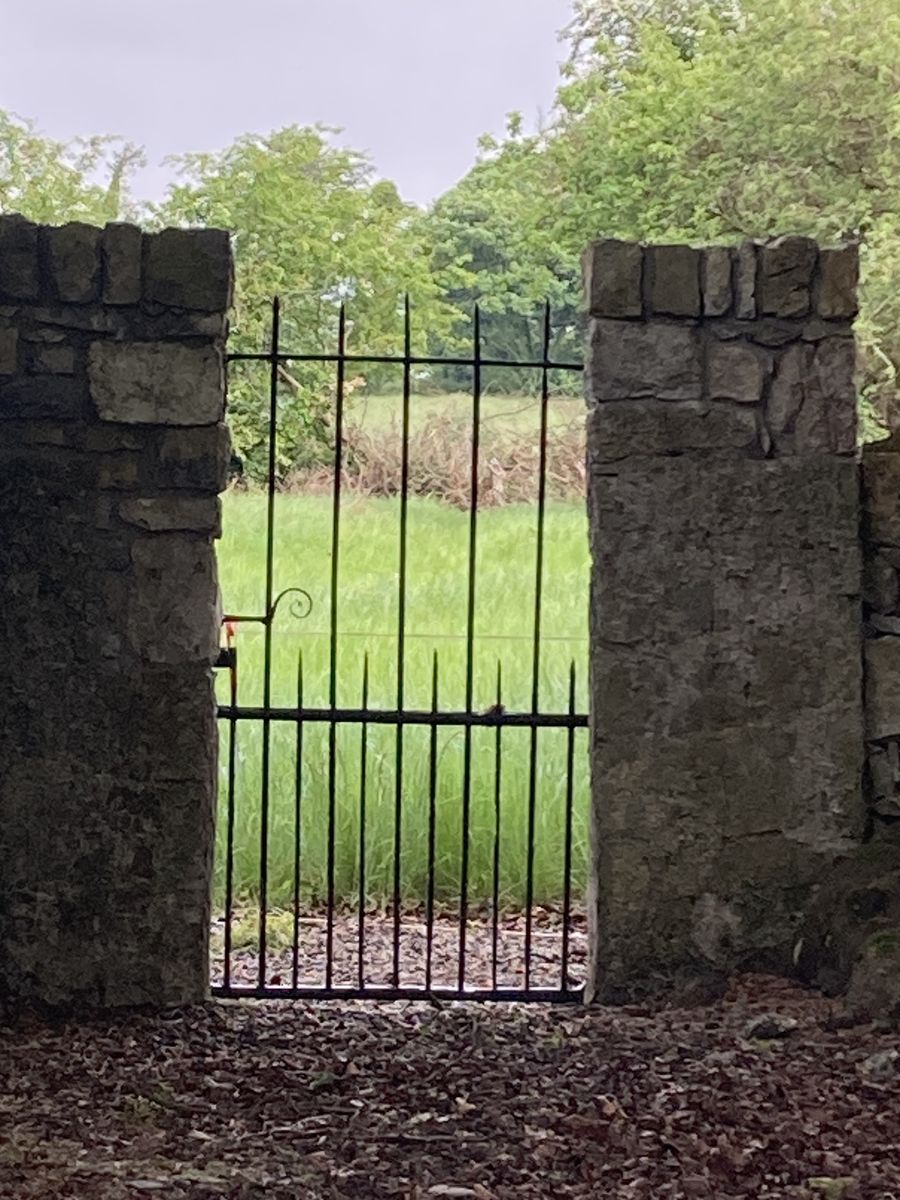 Glebe House For Sale: The Glebe, Nantenan, Askeaton, Co. Limerick Glebe House For Sale: The Glebe, Nantenan, Askeaton, Co. Limerick