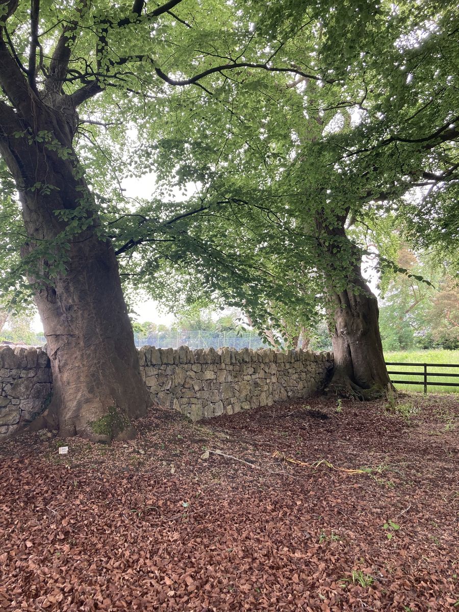 Glebe House For Sale: The Glebe, Nantenan, Askeaton, Co. Limerick Glebe House For Sale: The Glebe, Nantenan, Askeaton, Co. Limerick