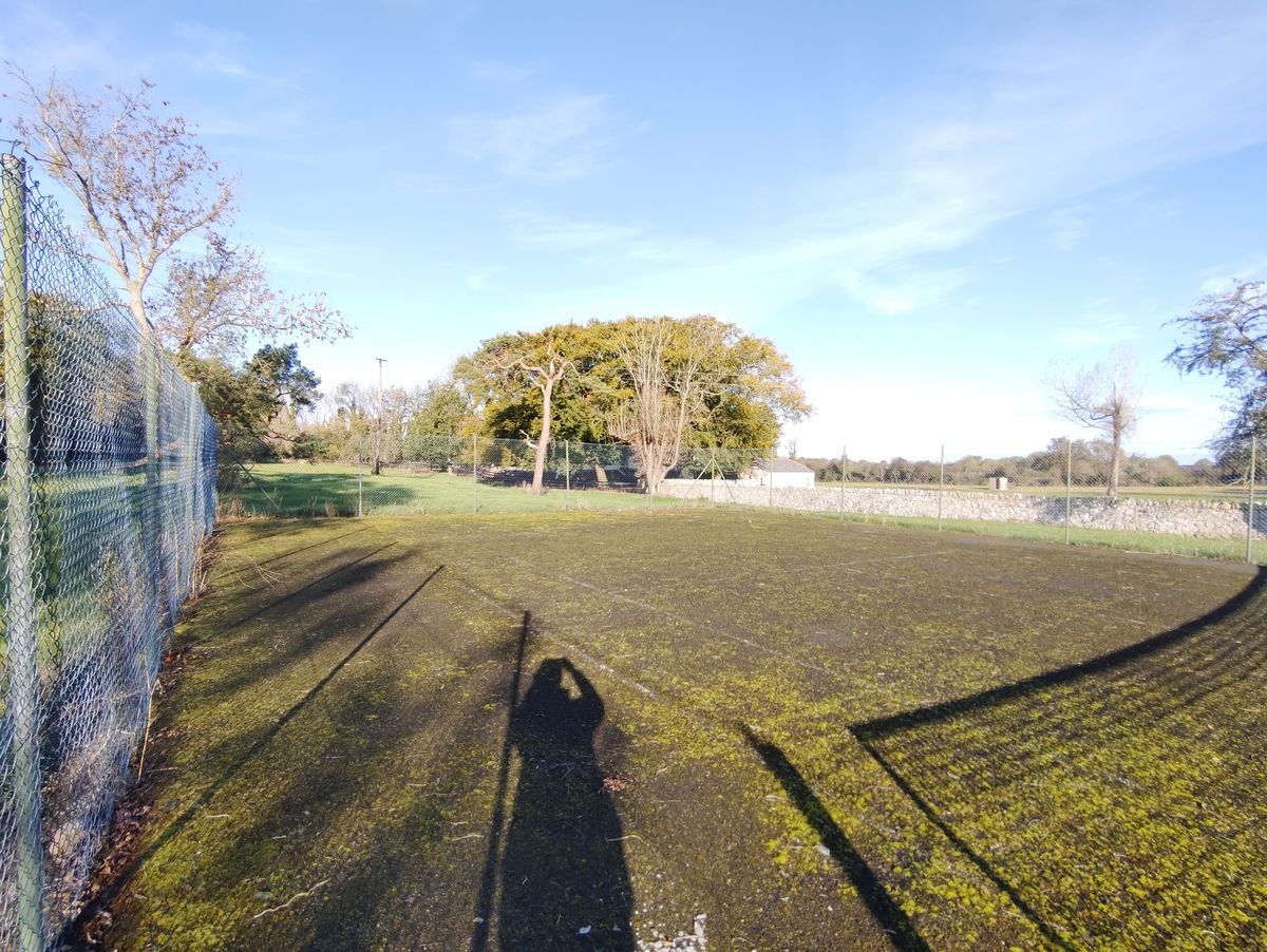 Glebe House For Sale: The Glebe, Nantenan, Askeaton, Co. Limerick Glebe House For Sale: The Glebe, Nantenan, Askeaton, Co. Limerick