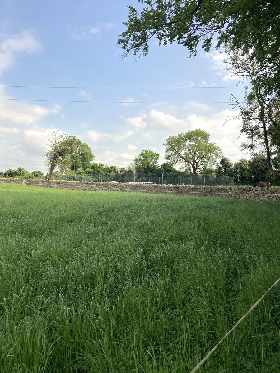 Glebe House For Sale: The Glebe, Nantenan, Askeaton, Co. Limerick Glebe House For Sale: The Glebe, Nantenan, Askeaton, Co. Limerick