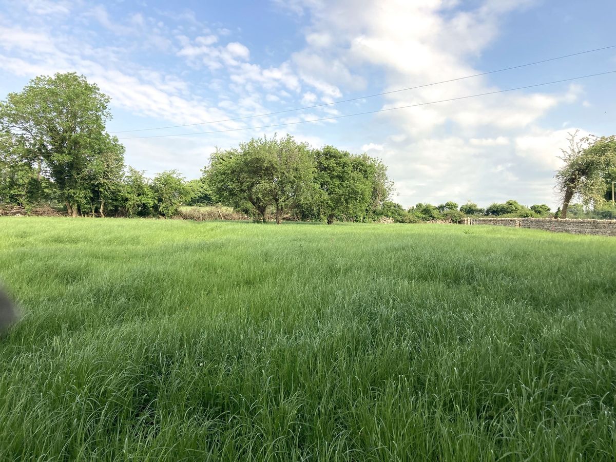 Glebe House For Sale: The Glebe, Nantenan, Askeaton, Co. Limerick Glebe House For Sale: The Glebe, Nantenan, Askeaton, Co. Limerick