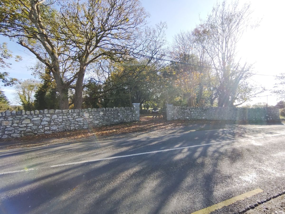 Glebe House For Sale: The Glebe, Nantenan, Askeaton, Co. Limerick Glebe House For Sale: The Glebe, Nantenan, Askeaton, Co. Limerick